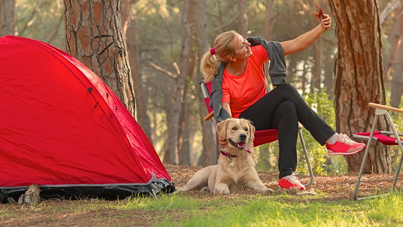 Summer Dog Safety Tips: Fireworks, Holidays, and Healthy Treats