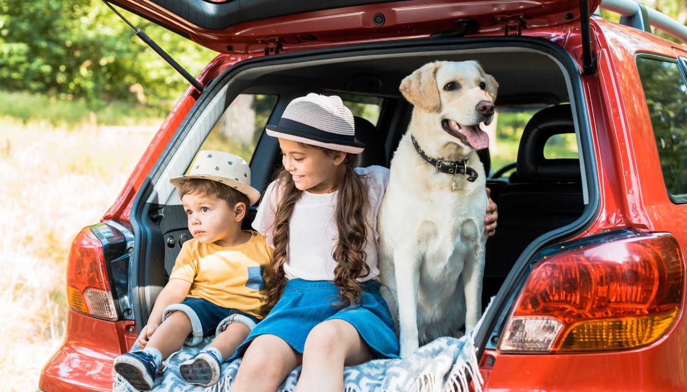 The Ultimate Summer Dog Packing List: 5 Essentials You Can’t Forget for Vacation Travel with Your Pup