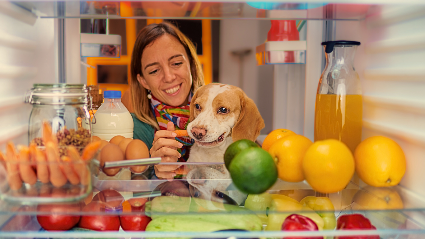 Snack Simple, Snack Healthy: The Power of Minimal Ingredients and Natures Animals Treats!