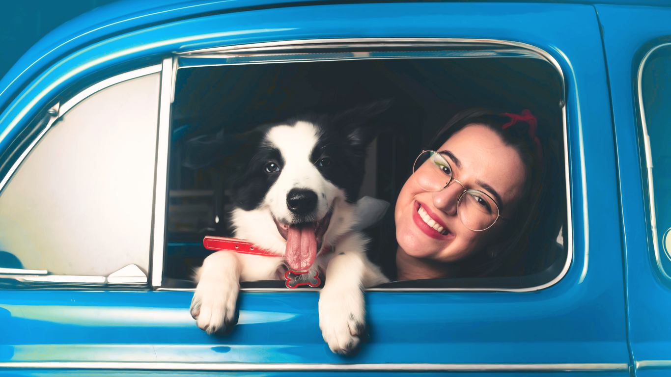 The Allure of Grab-and-Go Dog Treats: Convenience for Busy Pet Parents and Fuel for Canine Adventures!