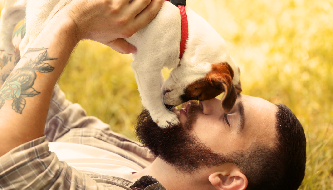 Made in the USA: Why Nature's Animals Dog Treats are Truly Homegrown