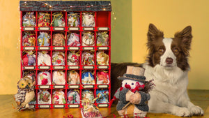 Delightful December Doggy Celebrations: Tails of Joy for Christmas and Hanukkah!