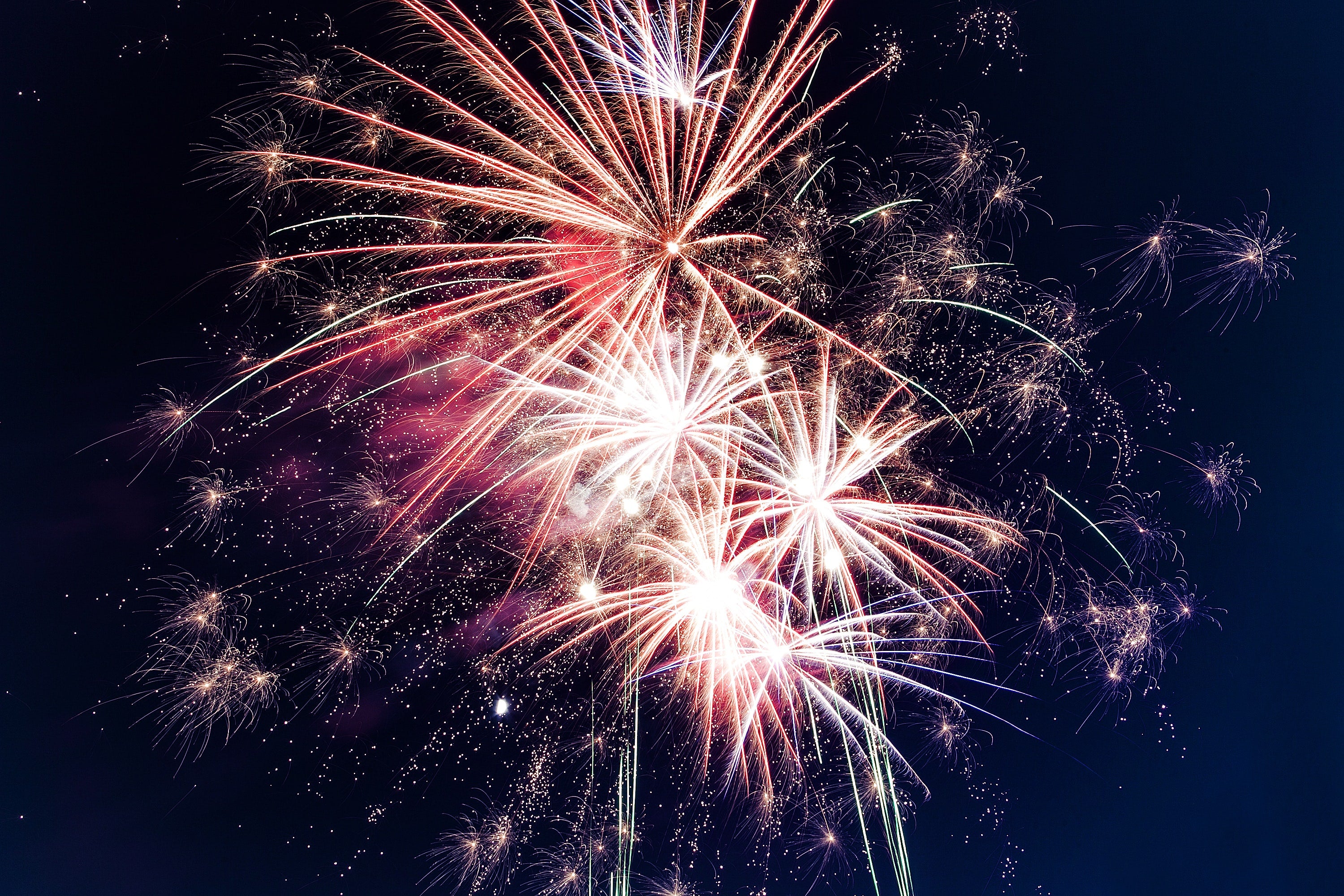 Getting Your Dog Through The 4th of July Fireworks