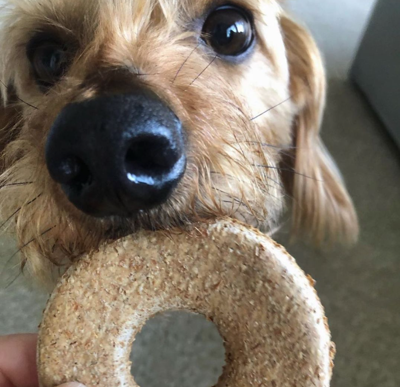Doggie Donuts (36 Count)