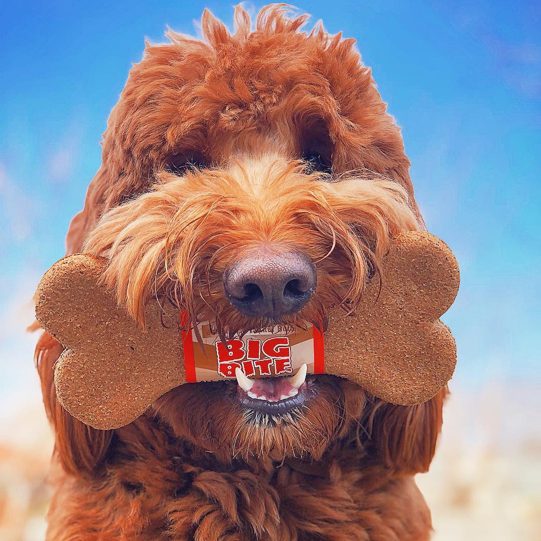Big Bite (24 Count)
