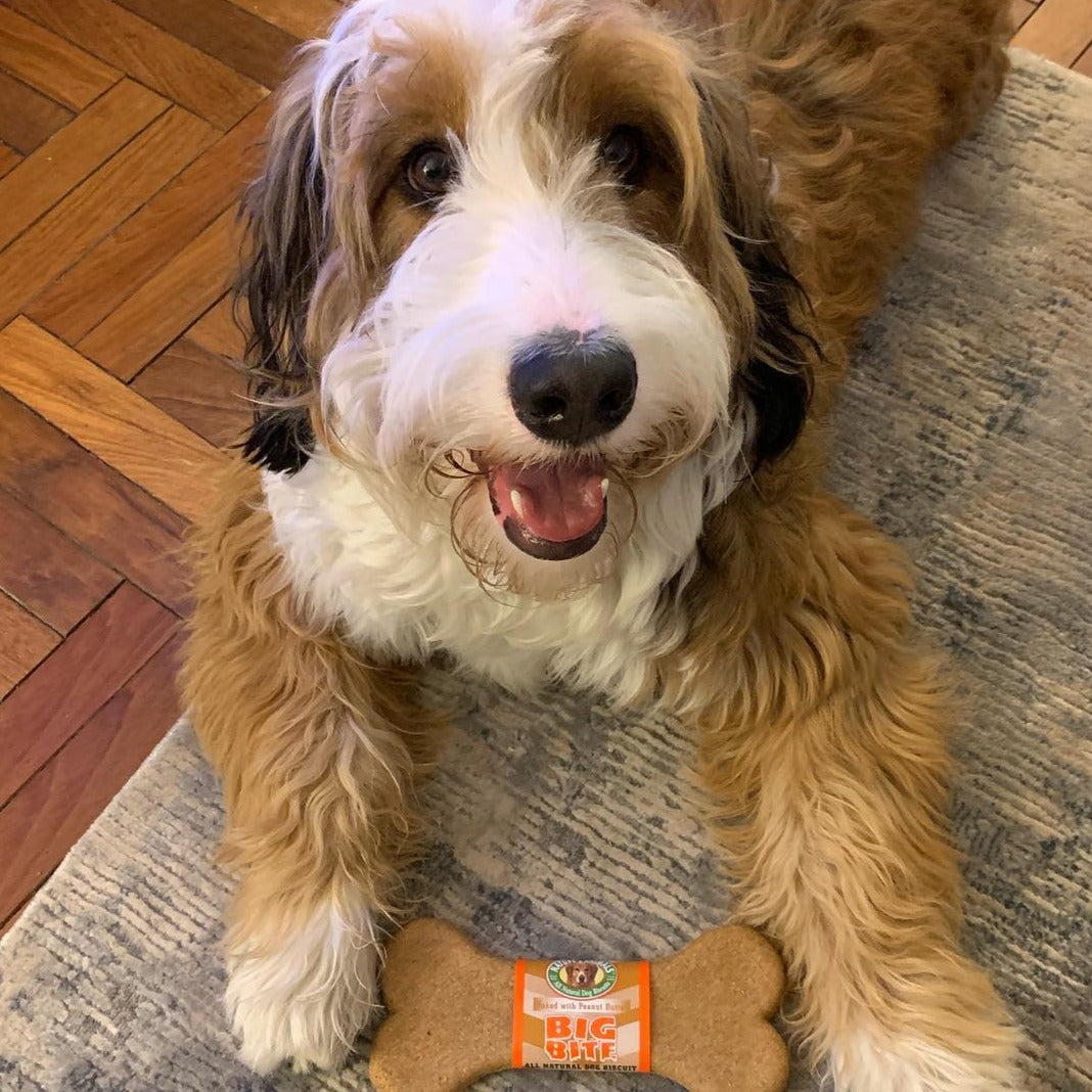 Big Bite (24 Count)