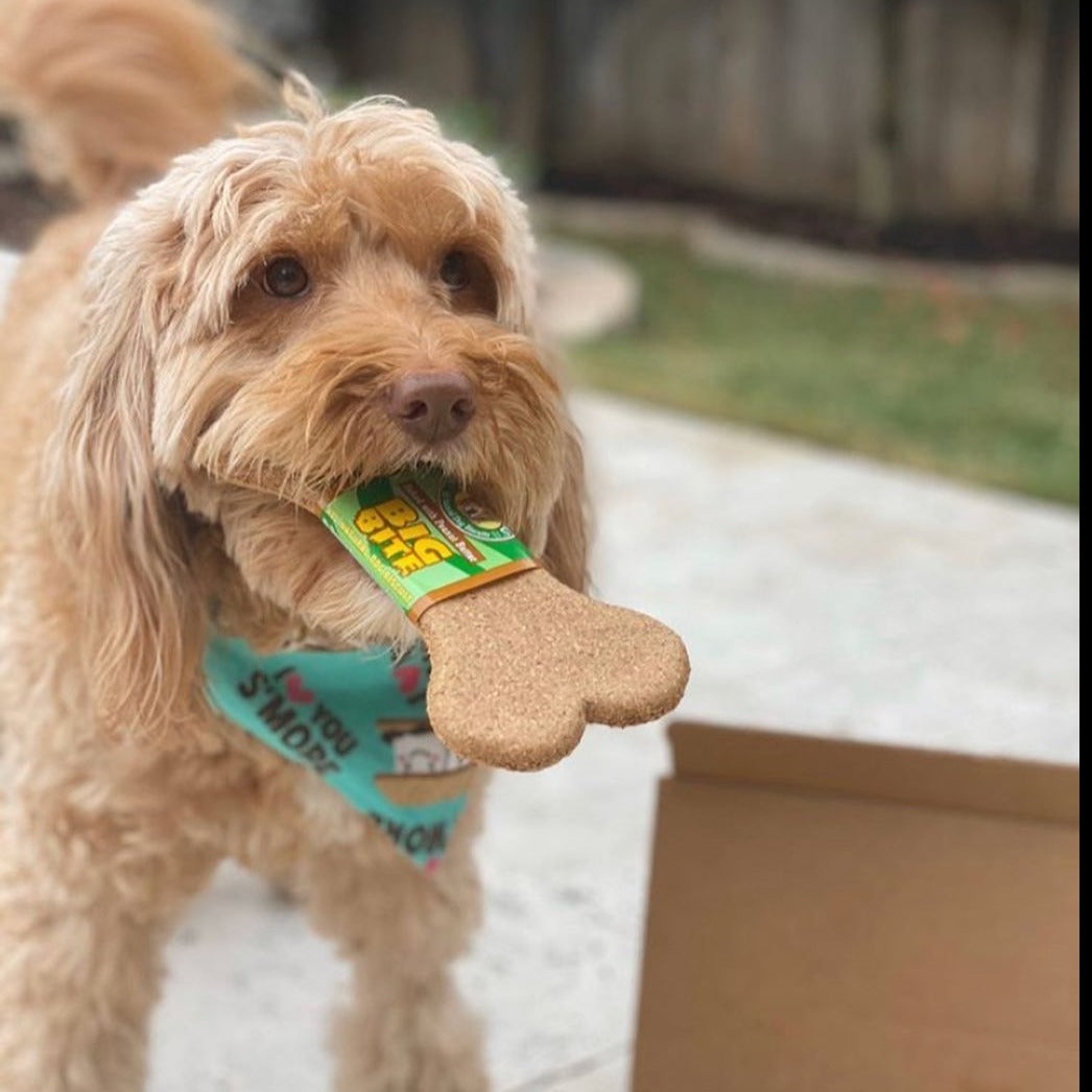 Big Bite (24 Count)