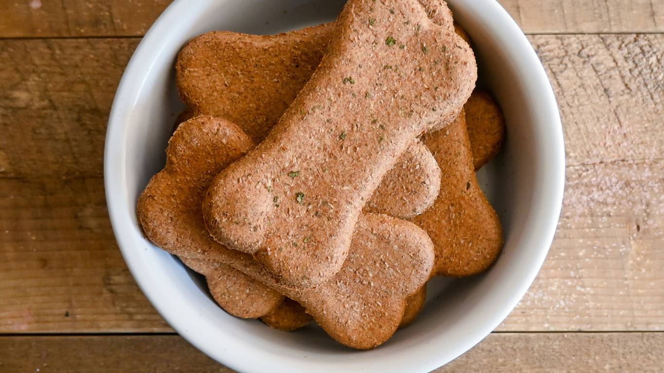 Tapping into the Lucrative Market of Healthy Dog Treats