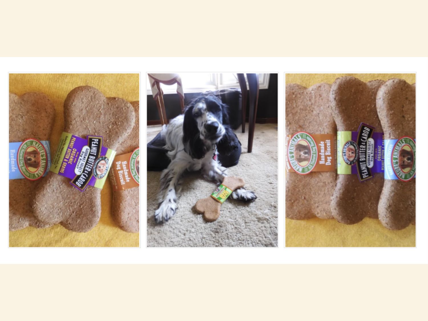 Boredom Busters: 7 Dog Chews to Entertain Your Dog for Hours