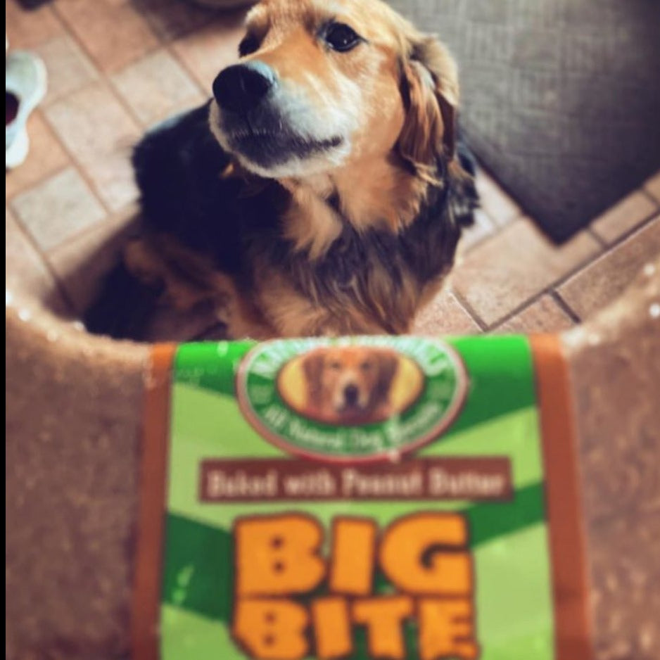 Big Bite (24 Count)